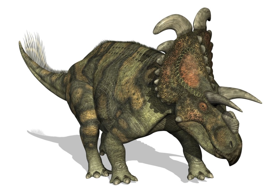 アルベルタケラトプス(Albertaceratops) 恐竜図鑑