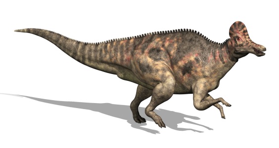 コリトサウルスの画像