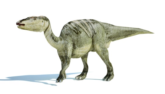 ティラノサウルスとエドモントサウルス