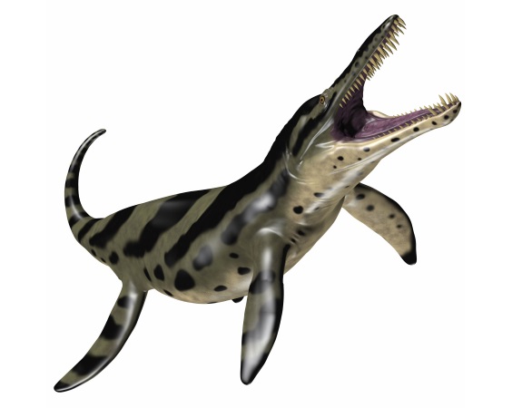 クロノサウルスの画像