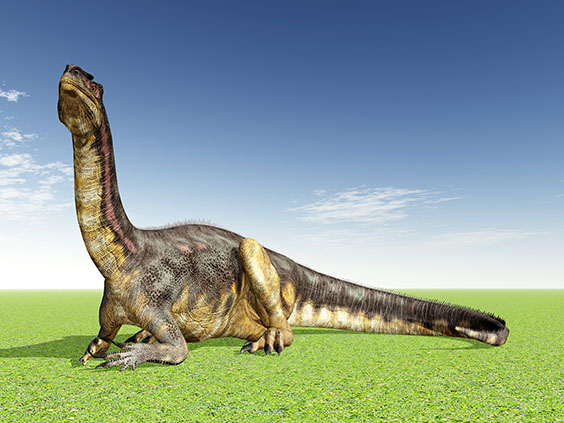 プラテオサウルスの画像2
