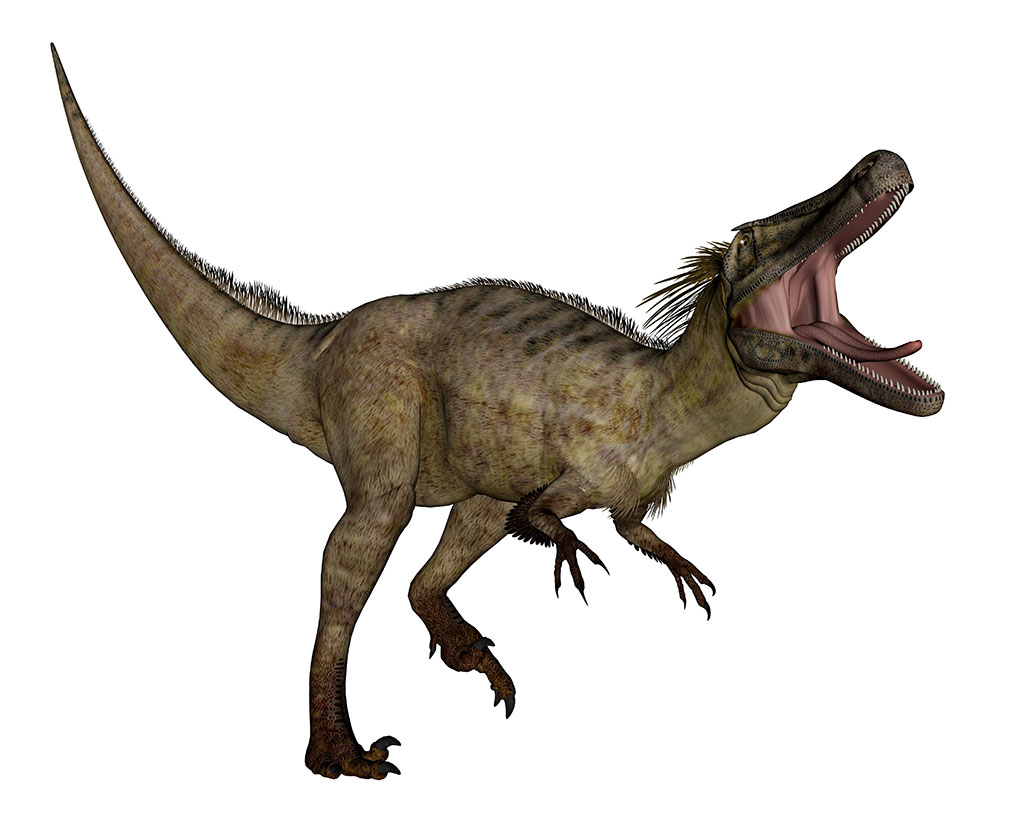 アウストロラプトル Austroraptor 恐竜図鑑