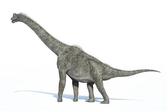 ブラキオサウルスの画像
