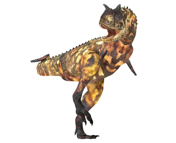 カルノタウルスの画像