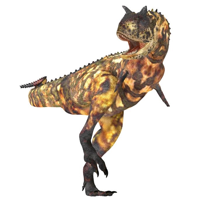 カルノタウルス(Carnotaurus) | 恐竜図鑑