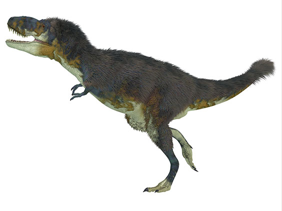 ダスプレトサウルスの画像