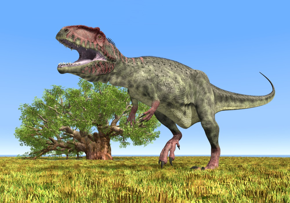 カルノサウルス類 Carnosauria Japaneseclass Jp