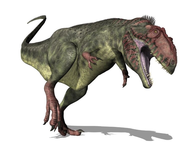 ギガノトサウルス Giganotosaurus 恐竜図鑑