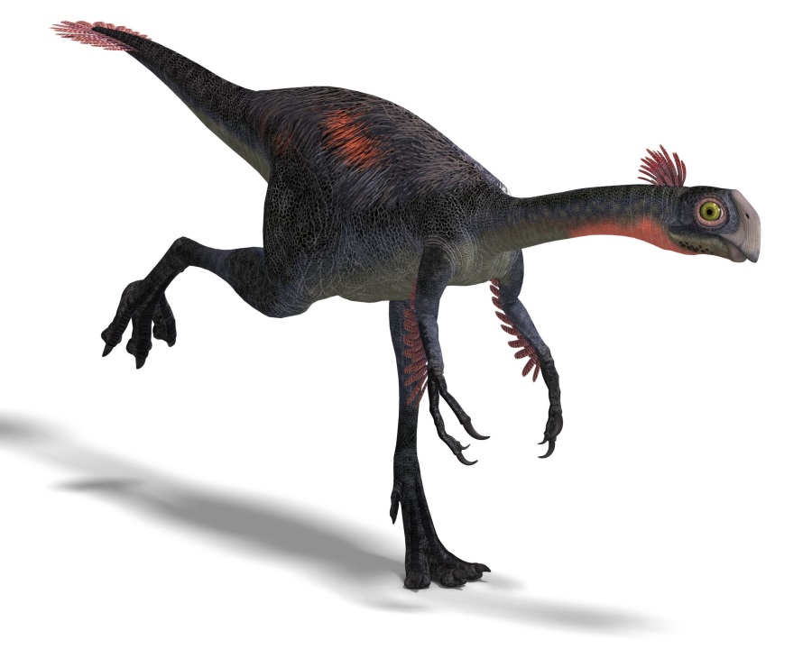 ギガントラプトル Gigantoraptor 恐竜図鑑