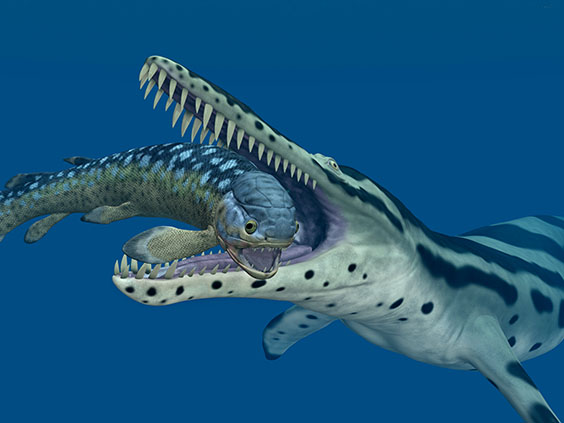 クロノサウルスの画像2