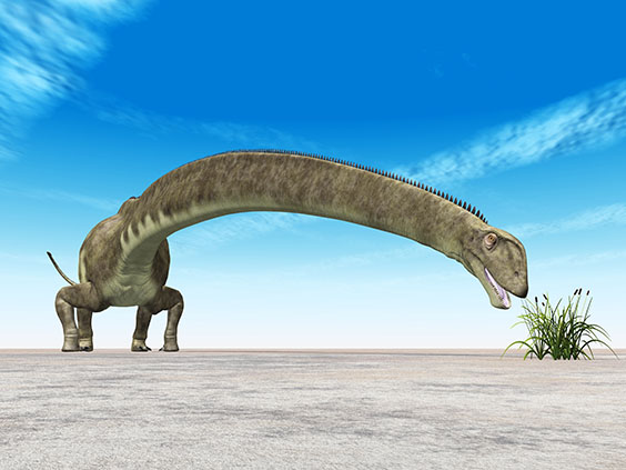 マメンチサウルスの画像2