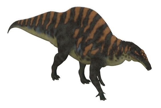 オウラノサウルスの画像