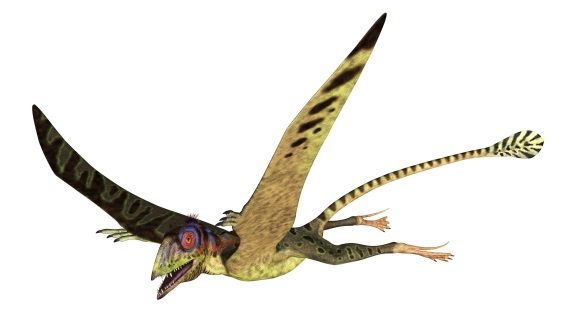 ペテイノサウルスの画像