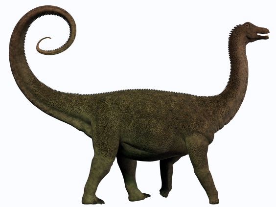 サルタサウルスの画像