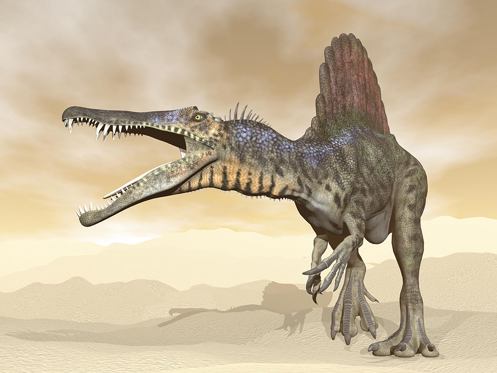 スピノサウルス Spinosaurus 恐竜図鑑