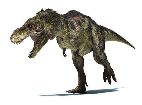 ティラノサウルスの画像